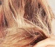 Haarprobleem - Broos haar